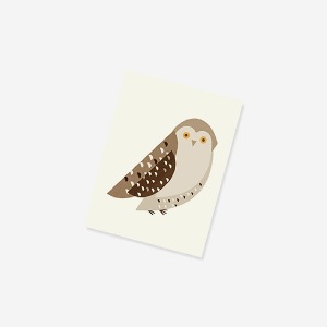 공장 네이처스 프렌즈 노트북 (올빼미) Nature&#039;s Friends Notebook Owl