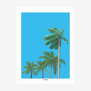 카멜앤오아시스 poster - hawaiian sky