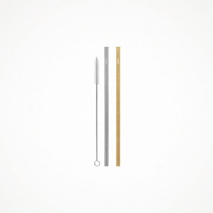 치키 스테인리스 빨대 2P + 청소용 솔 (실버 &amp; 골드, 직선형) Stainless Straws (Silver &amp; Gold, Straight)