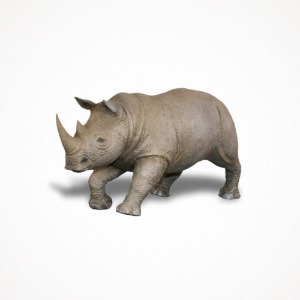 디어밀림 코뿔소 Rhino
