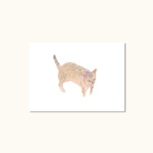 치커리바게트 그림엽서 (고양이 모네)