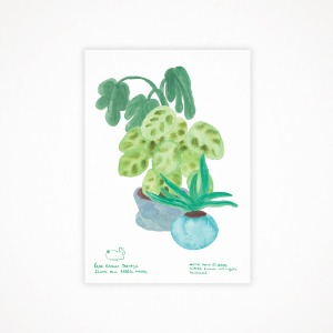 리틀룸 A3 포스터 (Still Life with Green)