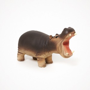 디어밀림 야생동물 (하마) Hippo