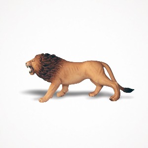 디어밀림 야생동물 (사자) Lion
