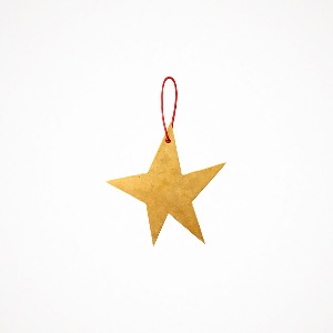 포그리넨워크 브라스 오너먼트 (스타) Brass Ornament Star