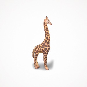 디어밀림 기린 Giraffe